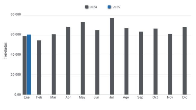 Gráfico 1: Producción mensual de carne de cerdo en 2024 y enero de 2025, variación anual. 
Elaborado por el Departamento de Economía y Sostenibilidad de 333 Latinoamérica con datos de la Secretaría de Agricultura, Ganadería y Pesca del ministerio del Ministerio de Economía de Argentina