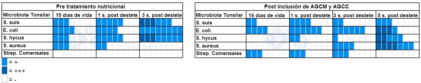 Número de muestras positivas a cultivo antes y después de la incorporación de ACGM y AGCC.