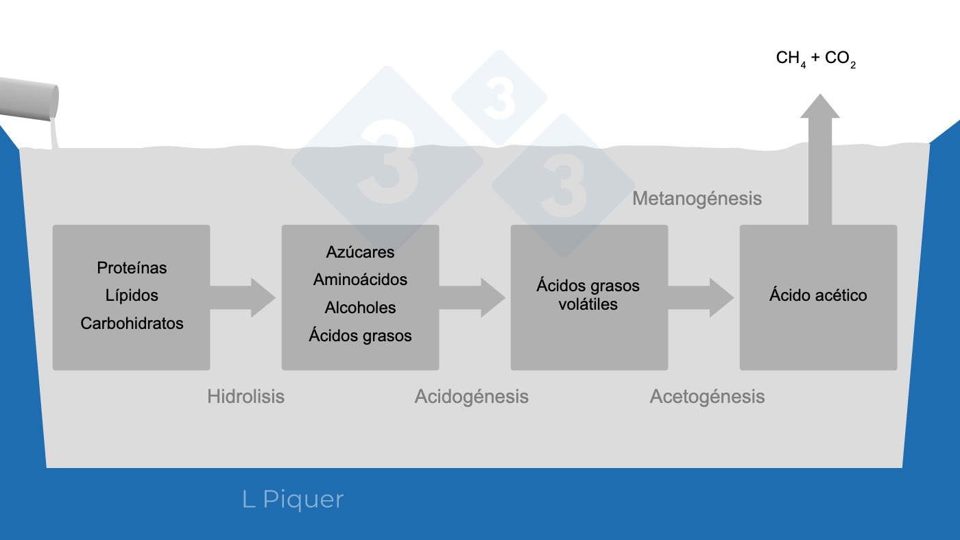 Gr&aacute;fico 1.&nbsp;Ciclo de formaci&oacute;n de metano (CH<sub>4</sub>) durante el almacenamiento del pur&iacute;n.
