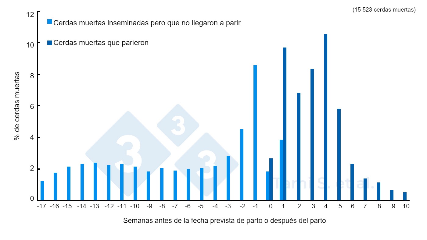 <p>Figura 1. Frequencias relativas (%) de cerdas muertas, antes o despu&eacute;s del parto, de un total de&nbsp;7778 cerdas inseminadas&nbsp;m&aacute;s 7745 cerdas paridas. Fuente: Tami S. et al. 2017</p>
