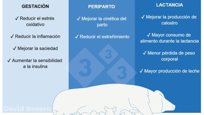 Figura 1. Efectos de la fibra como intervención nutricional en dietas de cerdas.