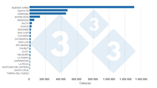 Gráfico 1: Faena de porcinos por provincia, acumulado enero - abril de 2025. 
Elaborado por el Departamento de Economía y Sostenibilidad de 333 Latinoamérica con datos de la Secretaría de Agricultura, Ganadería y Pesca del Ministerio de Economía de Argentina