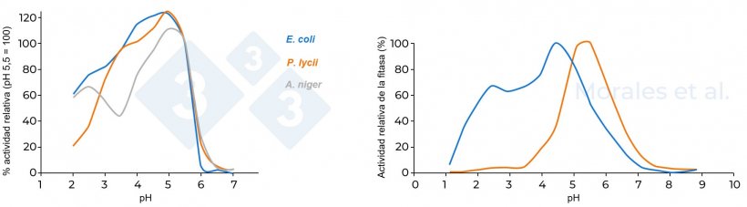 Figura 3. Actividad relativa de diferentes fitasas. La figura de la izquierda compara tres fitasas (A. niger, E. coli y P. lycii), tomando como referencia una actividad del 100% a pH 5,5 (Kumar et al., 2003). La figura de la derecha compara dos fitasas (fitasa microbiana E. coli y fitasa f&uacute;ngica P. lycii); la actividad m&aacute;xima de fitasa registrada se consider&oacute; como 100% (Morales et al. 2011).
