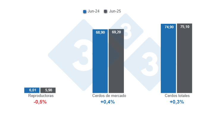 Gráfico 1: Inventario de porcinos en Estados Unidos con corte al 1 de junio de 2025, cifras en millones de cabezas, variaciones anuales. 

Elaborado por el Departamento de Economía y Sostenibilidad de 333 Latinoamérica con datos de USDA - NASS