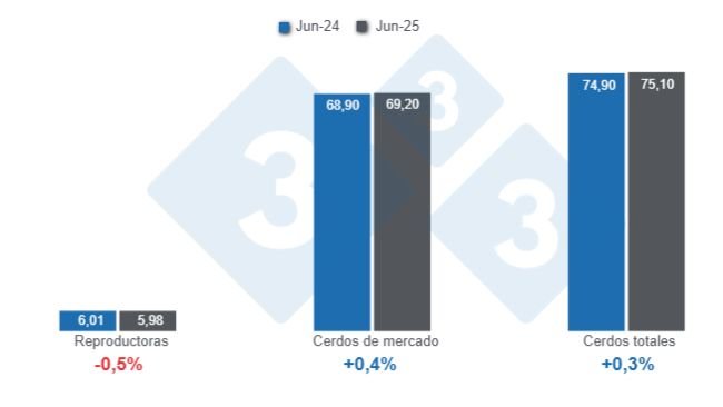 Gráfico 1: Inventario de porcinos en Estados Unidos con corte al 1 de junio de 2025, cifras en millones de cabezas, variaciones anuales. 
Elaborado por el Departamento de Economía y Sostenibilidad de 333 Latinoamérica con datos de USDA - NASS