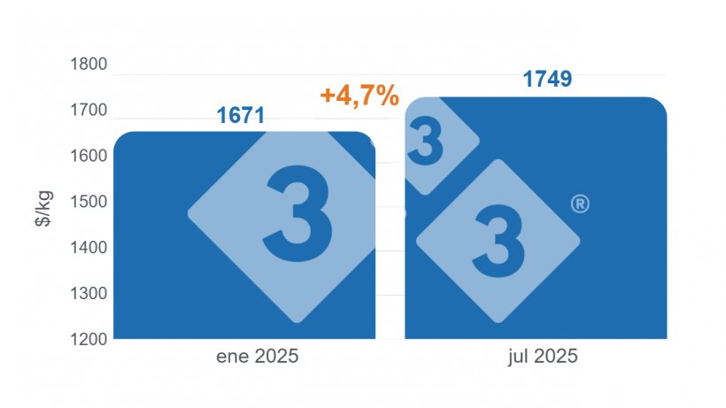 Gráfico 2. Evolución del precio promedio del cerdo vivo, categoría capón tipificado, enero-julio 2025. Elaboración propia con datos de la Secretaría de Agricultura, Ganadería y Pesca (SAGYP).