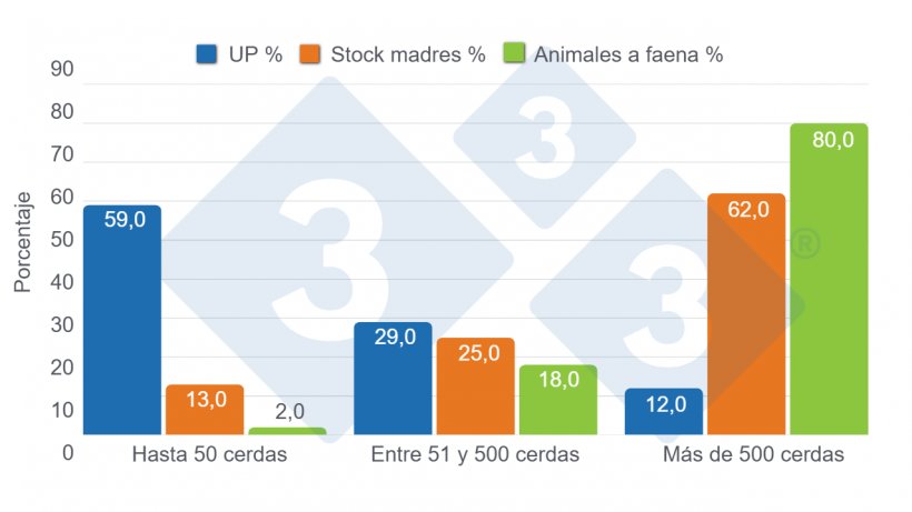 Gráfico 4. Distribución porcentual por tamaño de granja en número de unidades productivas (UP), stock de cerdas madres y participación en la faena. Elaboración propia con datos de de la Secretaría de Agricultura, Ganadería y Pesca (SAGYP), Anuario Porcino 2024.