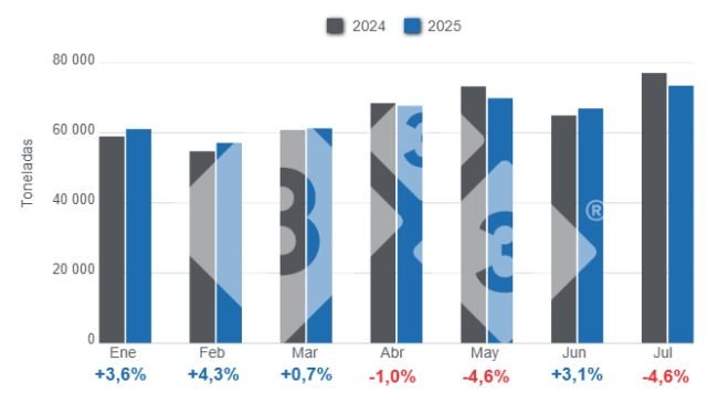 Gráfico 1: Producción mensual de carne de cerdo en el período enero - julio de 2025, variaciones anuales. 
Elaborado por el Departamento de Economía y Sostenibilidad de 333 Latinoamérica con datos de la Secretaría de Agricultura, Ganadería y Pesca del Ministerio de Economía de Argentina.