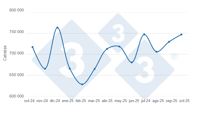 Gráfico 1: Evolución de la faena de porcinos en los últimos 12 meses. 

Elaborado por el Departamento de Economía y Sostenibilidad de 333 Latinoamérica con datos de la Secretaría de Agricultura, Ganadería y Pesca del Ministerio de Economía de Argentina.