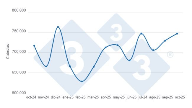 Gráfico 1: Evolución de la faena de porcinos en los últimos 12 meses.
Elaborado por el Departamento de Economía y Sostenibilidad de 333 Latinoamérica con datos de la Secretaría de Agricultura, Ganadería y Pesca del Ministerio de Economía de Argentina.