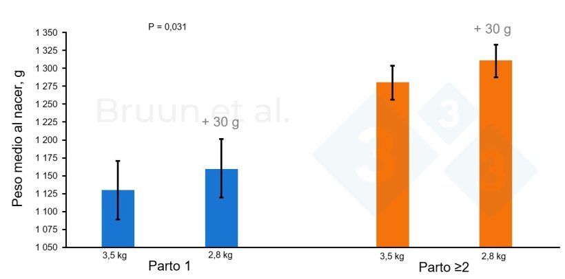Figura 1. Bump feeding (del día 84 al día 112 de gestación). Adaptado de Bruun et al., 2024: Landbrugsinfo. Publicación nº 1206