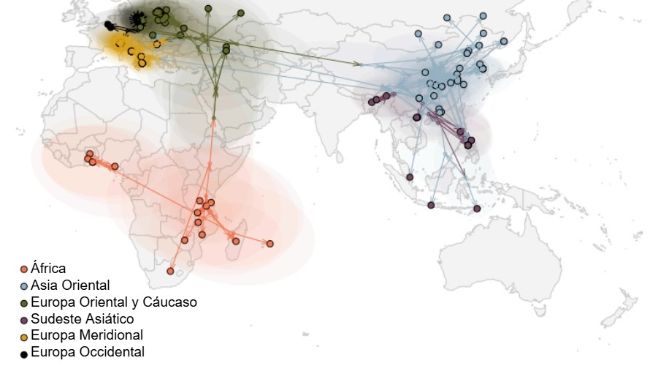Figura 2. Propagaci&oacute;n global del virus de la PPA (Rossi et al. bioRxiv 2025).
