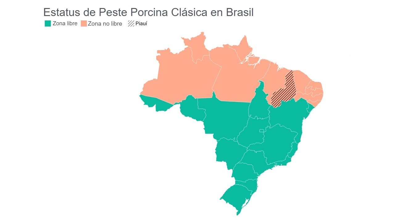Estatus de la peste porcina clásica en Brasil. Fuente: Mapa elaborado con datos publicados por la CNA, 2024.