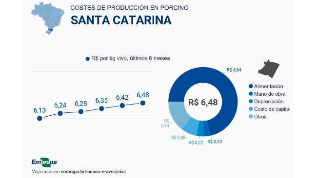 Costes de producción durante el segundo semestre de 2025 en el estado brasileño de Santa Catarina. Fuente: Embrapa.