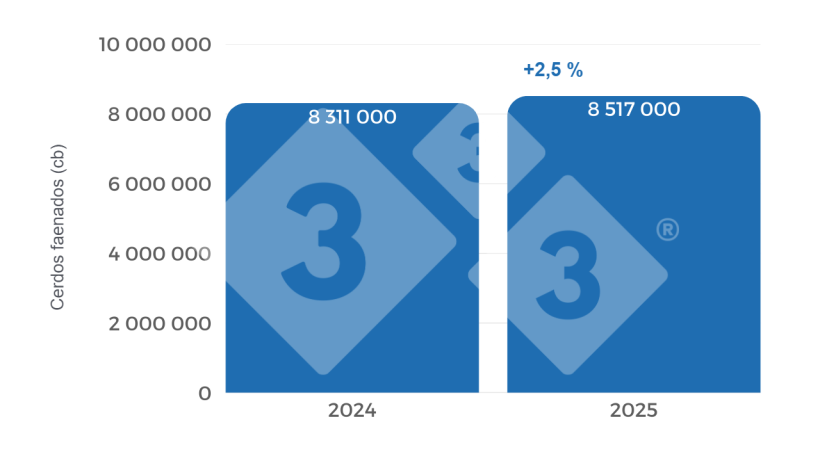 Gr&aacute;fico 1. Evoluci&oacute;n faena&nbsp;comparaci&oacute;n 2024 - 2025. Elaboraci&oacute;n propia con datos de la Secretar&iacute;a de Agricultura, Ganader&iacute;a y Pesca (SAGYP).
