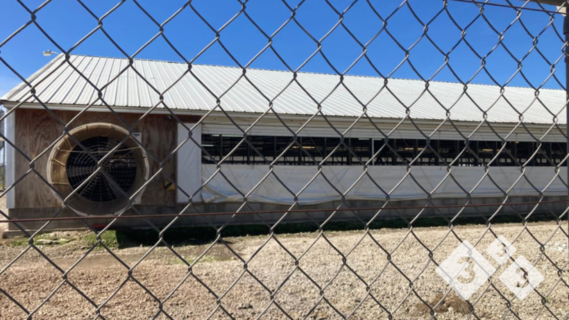 Imagen 4. La integraci&oacute;n de barreras f&iacute;sicas y flujos controlados apoyan una bioseguridad robusta que no depende del error humano, sino de la planificaci&oacute;n desde el dise&ntilde;o.