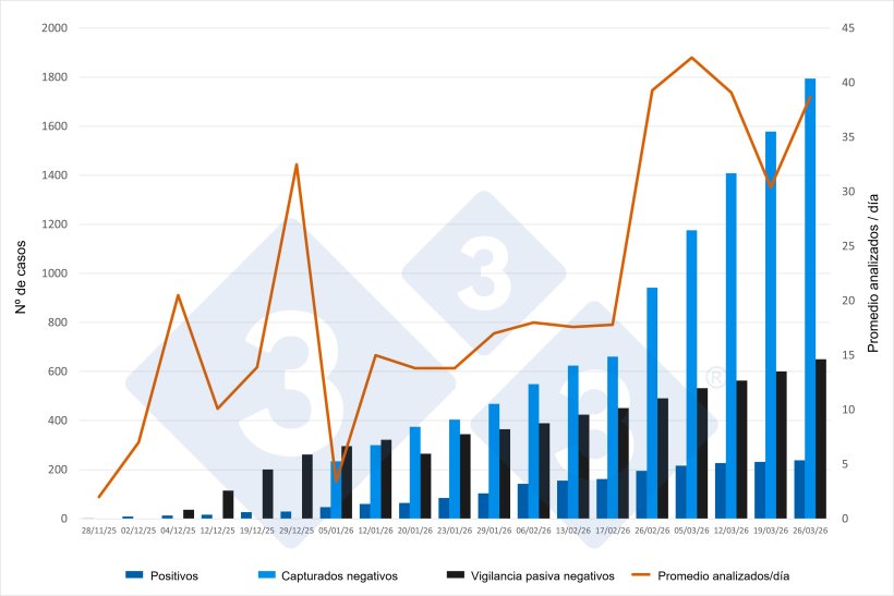 Evolución del brote de PPA en Catalunya, datos acumulados excepto para promedio de animales analizados/día. Fuente: 333 a partir de las actualizaciones emitidas por el MAPA.