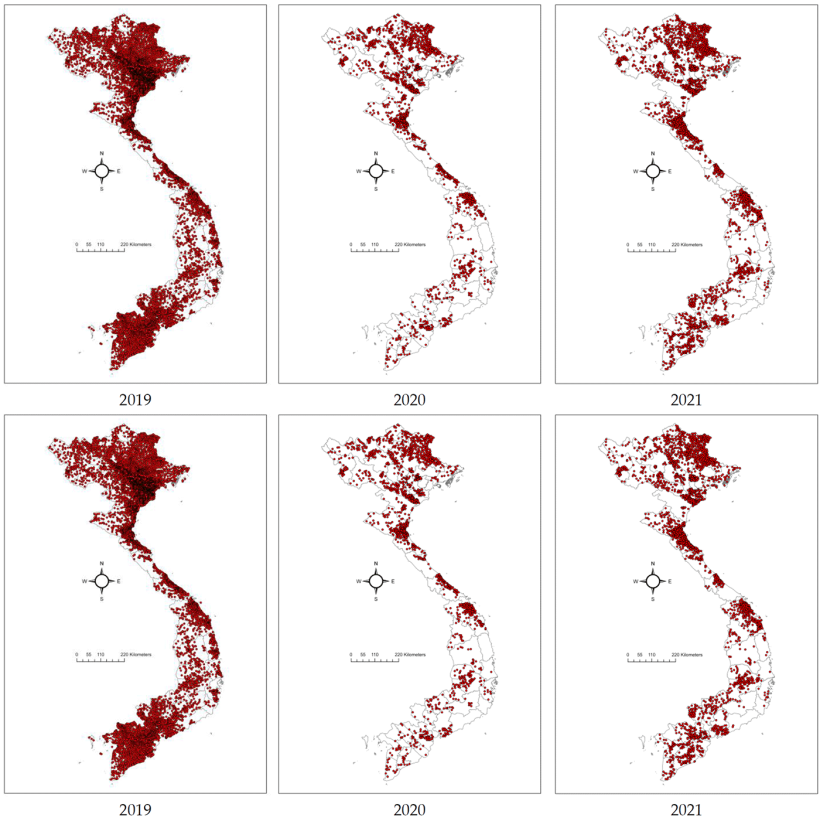 Mapas que muestran la distribución de los brotes de PPA en Vietnam entre 2019 y 2024. Los puntos rojos representan los brotes de PPA a nivel de comuna. Chuong, V et al, 2025