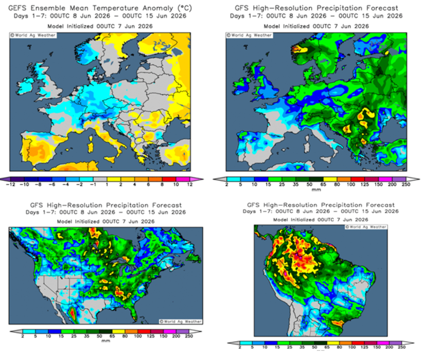 Previsi&oacute;n del clima en el hemisferio sur y en Europa (fuente: Grads/Cola)