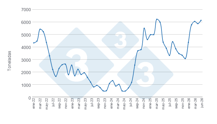 Gráfico 2: Evolución de las importaciones mensuales de carne de cerdo en los últimos cuatro años y mitad de 2026. Elaborado por el Departamento de Economía y Sostenibilidad de 333 Latinoamérica con datos de la Secretaría de Agricultura, Ganadería y Pesca del Ministerio de Economía de Argentina.