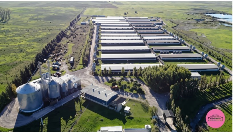 Granja Los Hermanos un modelo porcino integrado que produce cerca de 30 000 cerdos por año, genera el 80 % de su propio alimento y comercializa su producción a través de una red de locales propios