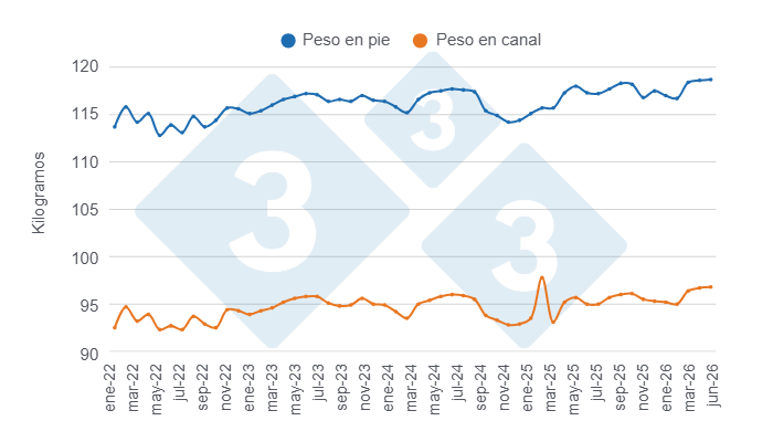 Gráfico 3: Evolución mensual de los pesos promedio en pie y en canal en los últimos 4 años y primer semestre de 2026. Elaborado por el Departamento de Economía y Sostenibilidad de 333 Latinoamérica con datos de ESAG - DANE.