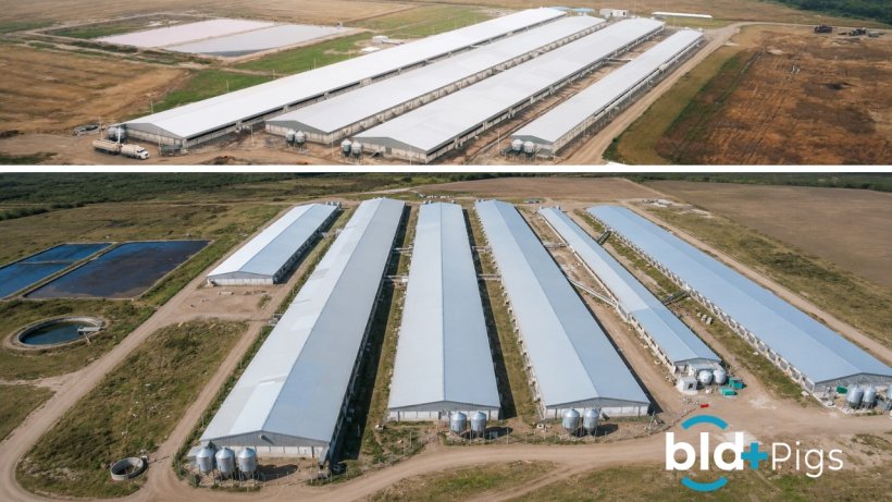 Inicio y fin del proyecto de ampliación de Bld+Pigs