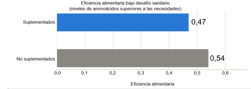 Figura 3. Eficiencia alimentaria bajo desafío sanitario en animales suplementados con niveles de aminoácidos superiores a las necesidades de triptófano, metionina y treonina, y en animales no suplementados. Fuente: Valini et al., 2024.
