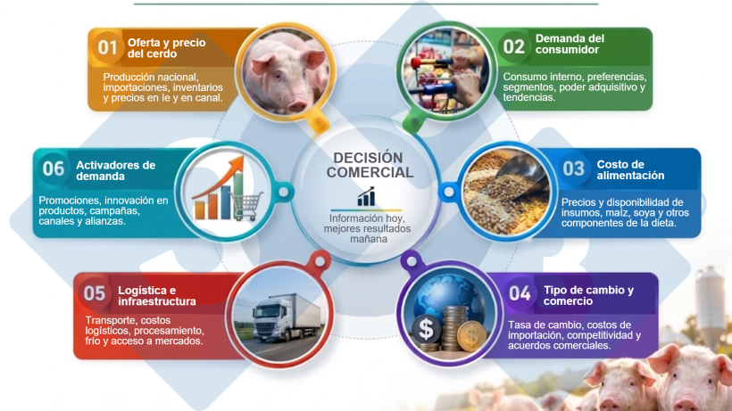Figura 1. Variables externas que deben integrarse al análisis comercial del porcicultor durante el cuarto trimestre de 2026. Fuente: El Autor