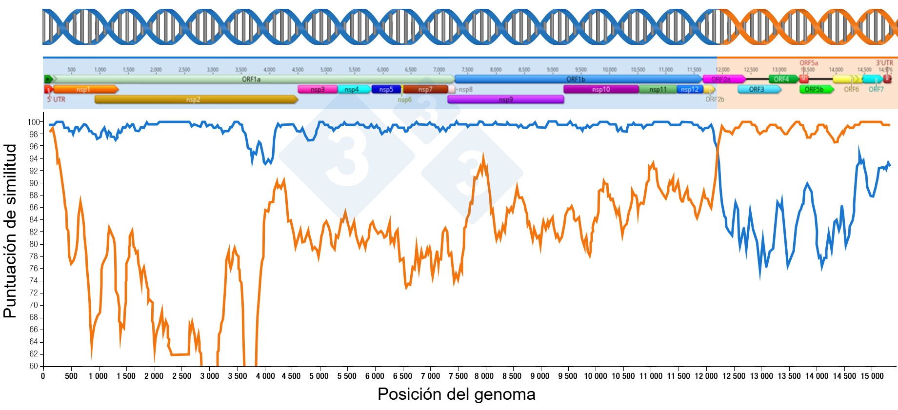 Representación de una recombinación que genera un nuevo virus