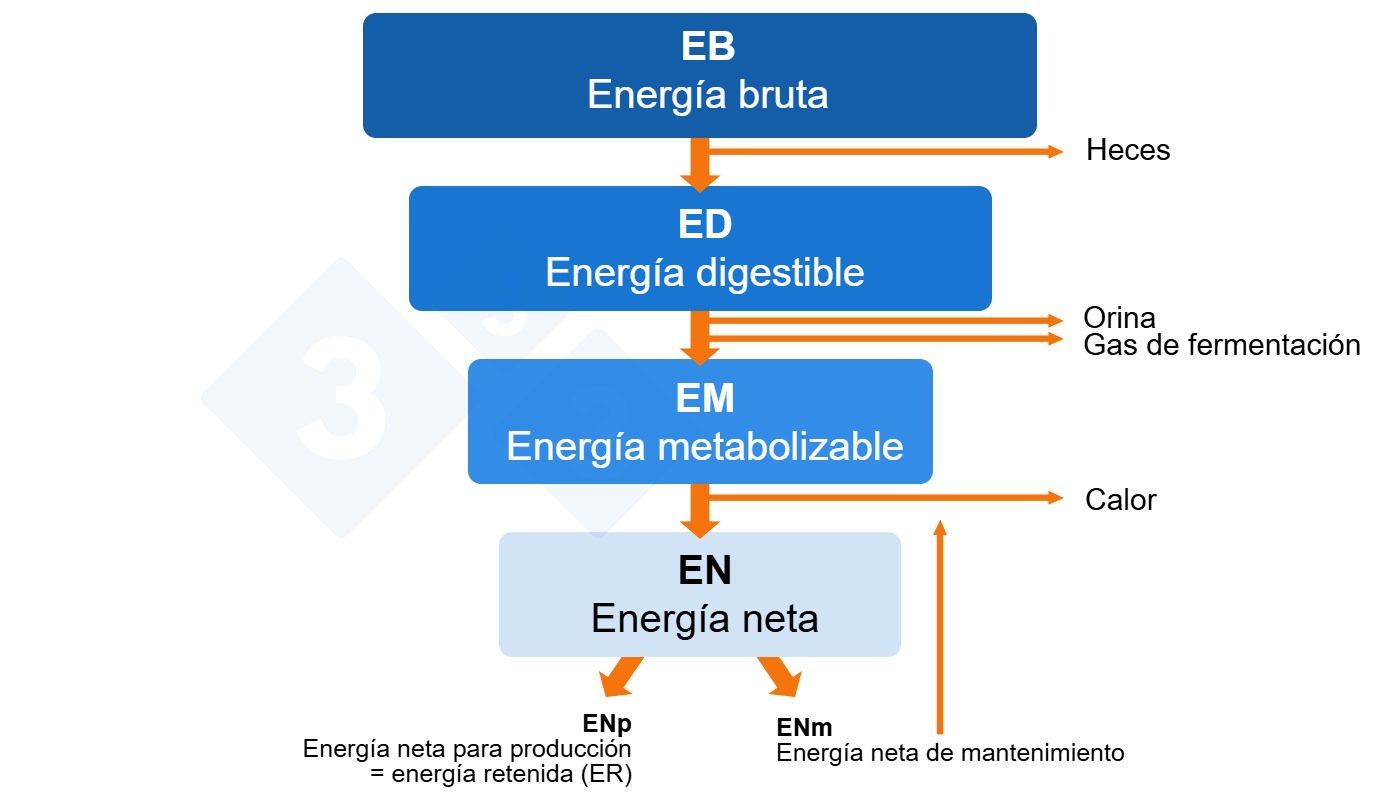 energia