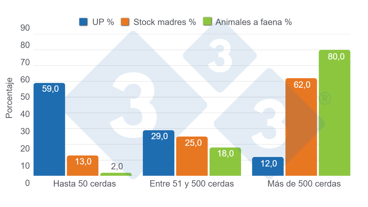 Gráfico 4