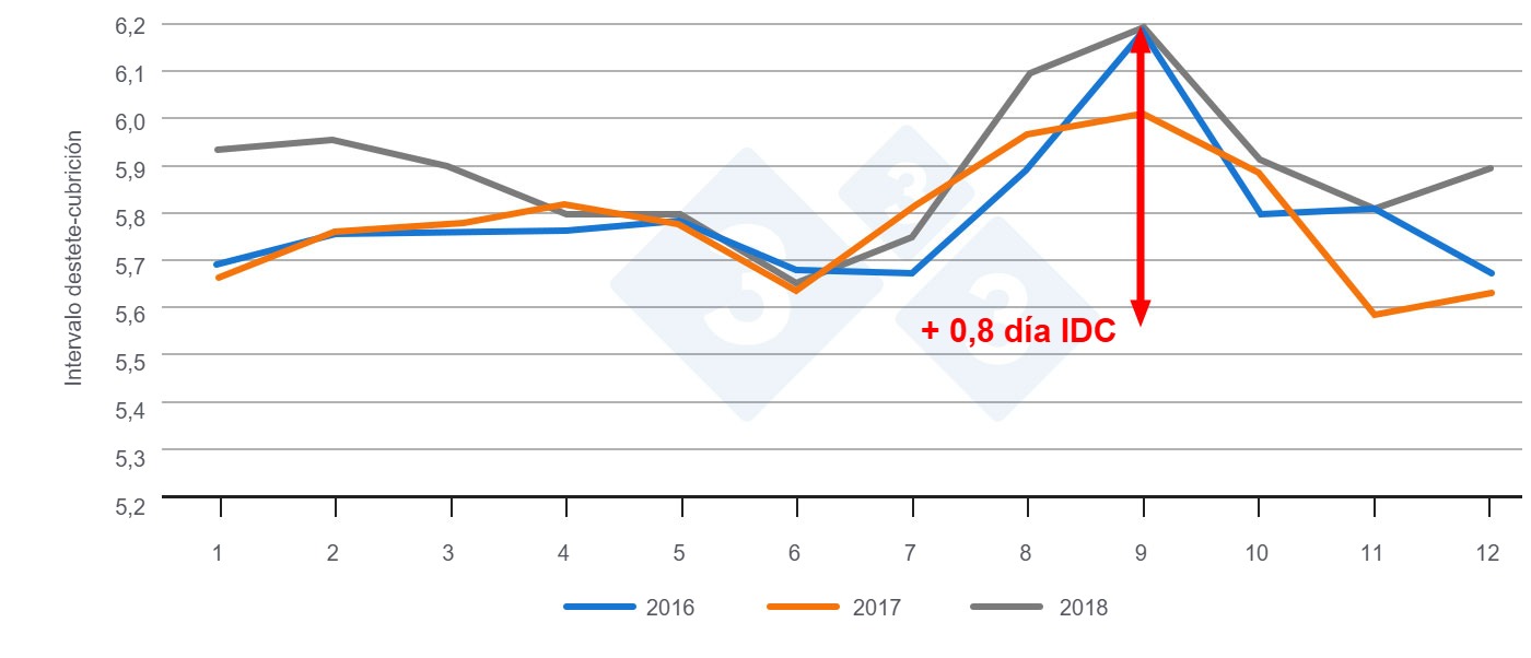 Figura 1. Intervalo destete-cubrici&oacute;n en funci&oacute;n del mes del a&ntilde;o. Fuente: PigChamp Pro Europa
