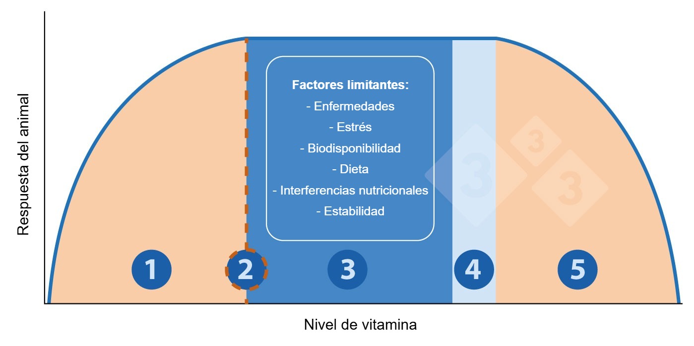 Figura 1. Relaci&oacute;n entre el nivel de vitamina y la respuesta del animal.
