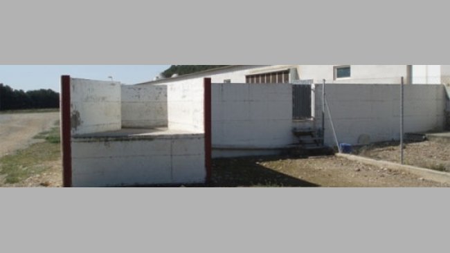 20110126_muelle_carga_cerdos