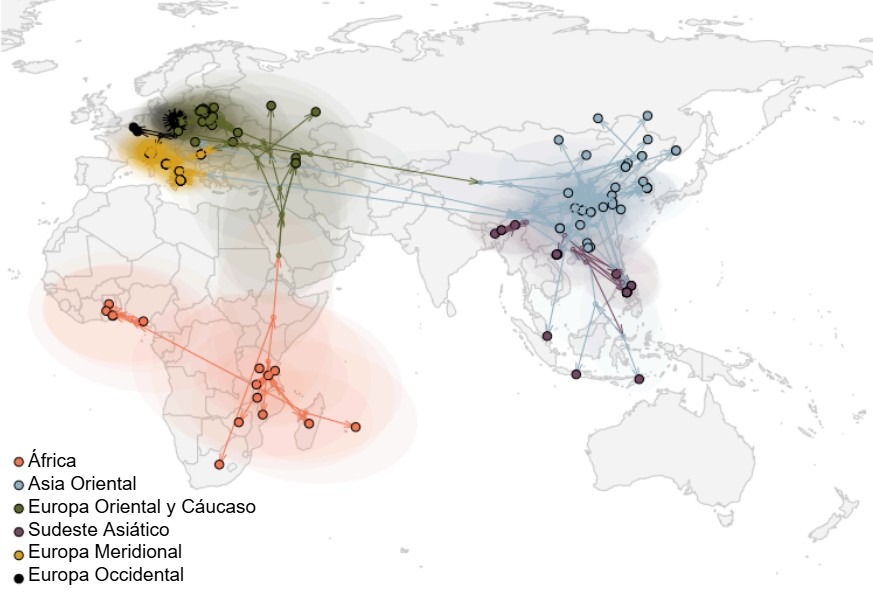 <p>Figura 2. Propagación global del virus de la PPA (Rossi et al. bioRxiv 2025).</p>