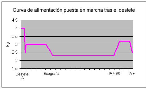 Curva alimentación tras destete