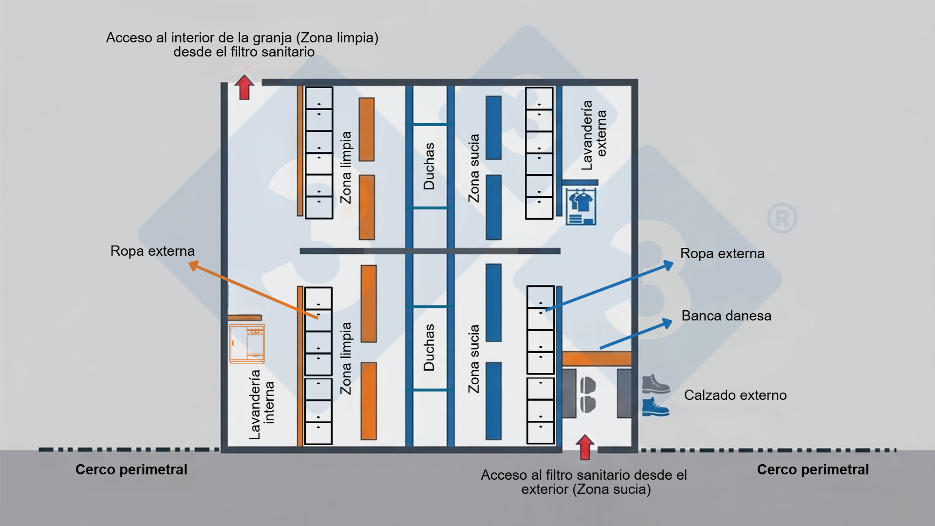 Figura 2. Diagrama de un filtro sanitario que detalla la separación física mediante bancos daneses para dejar calzado fuera del área de cambio de ropa y la secuencia obligatoria: zona sucia, duchas y zona limpia.