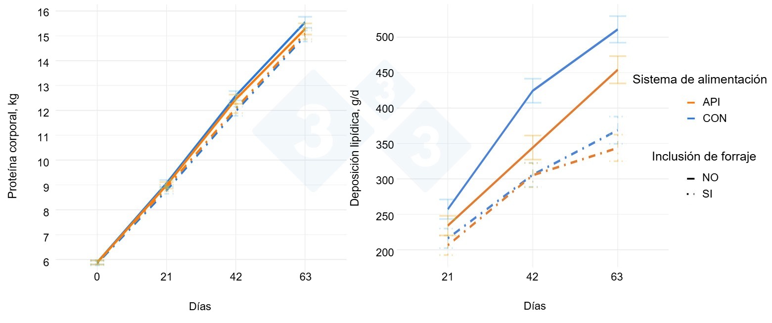Figura 2. Contenido de prote&iacute;na corporal y deposici&oacute;n lip&iacute;dica seg&uacute;n la inclusi&oacute;n de <em>Phleum pratense</em> (<strong>Inclusi&oacute;n de forraje</strong>, NO, SI= Inclusi&oacute;n gradual 8-22%) y el <strong>sistema de alimentaci&oacute;n</strong> (CON=Alimentaci&oacute;n por fases en grupo, API=Alimentaci&oacute;n de precisi&oacute;n individual) a lo largo de un periodo experimental de 63 d&iacute;as dividido en 3 fases de 21d.
