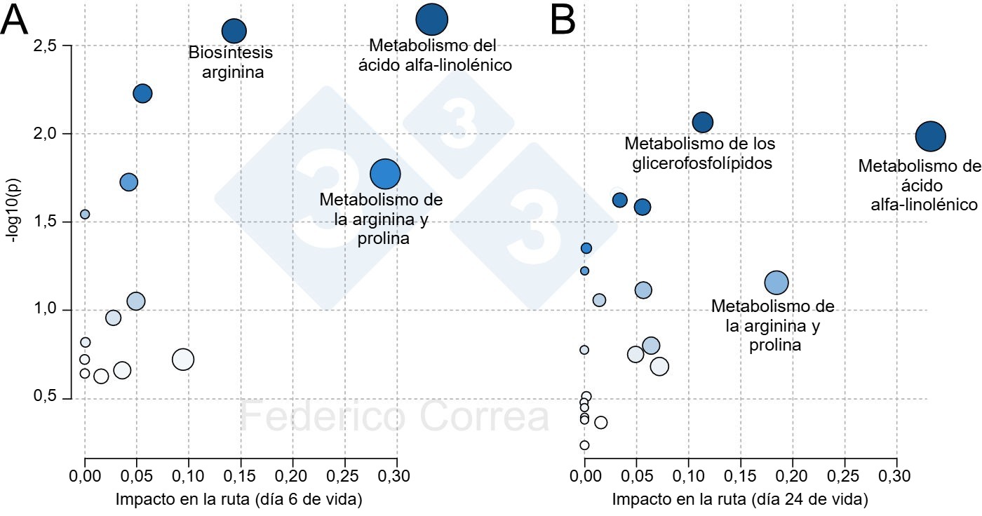 <p>Figura 1. Rutas metabólicas del calostro asociadas a la supervivencia de los lechones durante el periodo de lactación. Las figuras muestran las principales rutas metabólicas del calostro asociadas con la supervivencia de los lechones al día 6 (<strong>A</strong>) y 24 (<strong>B</strong>). El tamaño y el color de los puntos indican, respectivamente, el efecto y significado de las rutas metabólicas.</p>