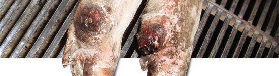 Desprendimiento del dígito auxiliar