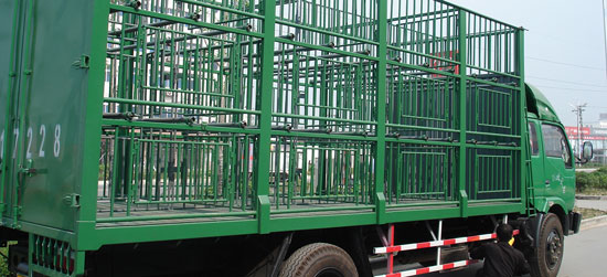 Camión transporte cerdos en China