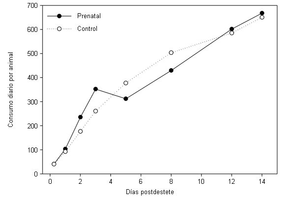 Consumo de pienso por lechón y día en los primeros 14 días después del destete: Los puntos negros muestran el consumo de los lechones expuestos al aroma prenatalmente