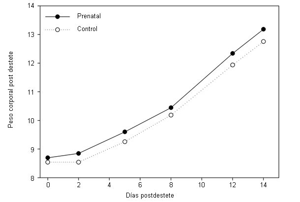 Peso corporal de los lechones a lo largo de los 14 días después del destete