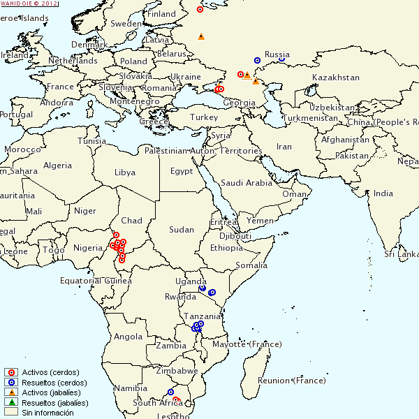 Distribución de brotes de PPA