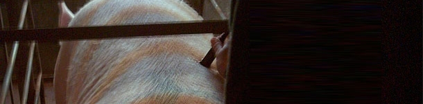 ¿Cuándo realizamos la toma de datos con el Renco?