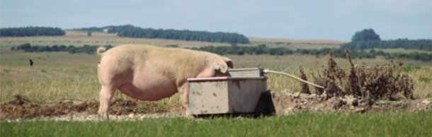 Granja al aire libre