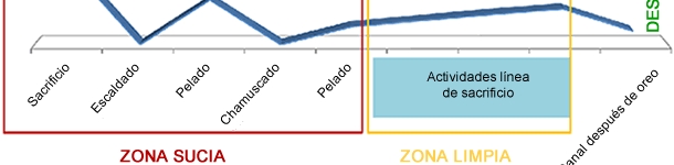 Evolución de la prevalencia en canales durante el faenado de las mismas.