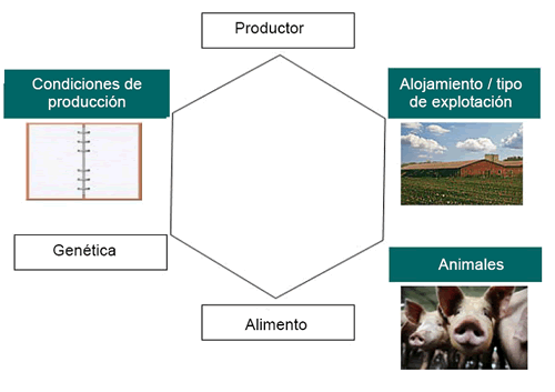 principales factores riesgo rinitis atrófica