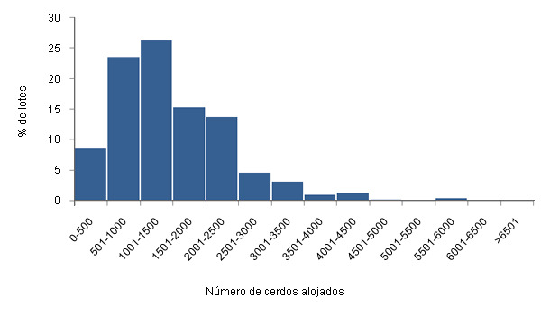 Distribución del número de cerdos alojados por lote de crecimiento y engorde